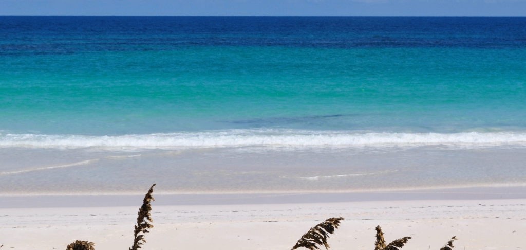 Guana Cay Beach